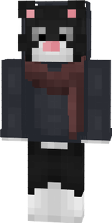 ds