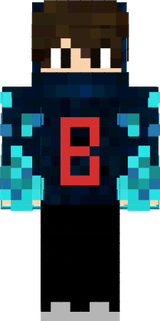 Barışaga