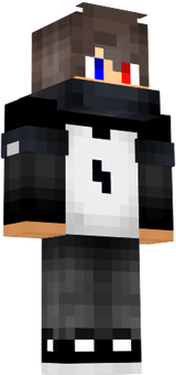 SKIN MINESCRAFT