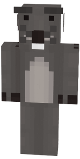 Gopher cc