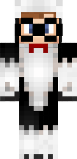 Stöpsel