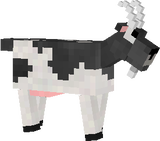 koza kangura