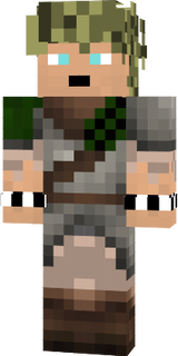 ProfileUsername