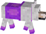 girl dog skin