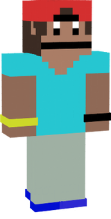 pim skin prototype