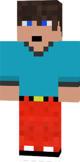 vikbyggare