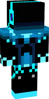 SLAIP_13
