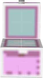 Chest