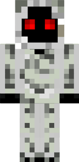 entity 303