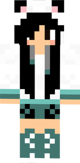 Panda MC Skin