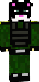 Cat in Army