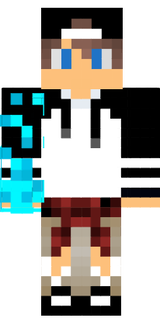 wsgedd