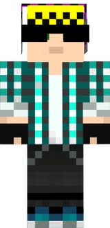 Mario Skin