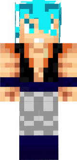 SSGSS Gogeta