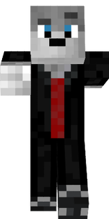 mr.volk