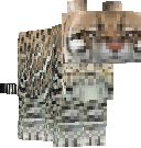Preview of texture: leopard kitty