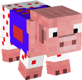 Captain pig!