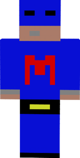 MetroPaleten