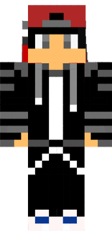 TurtokMC skin