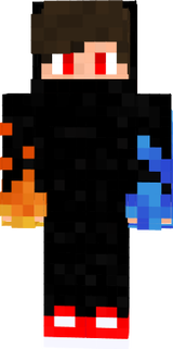 elements ninja