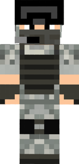 ans
