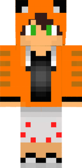 RayNanPC