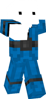 nusspack