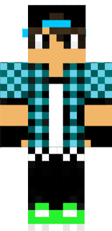 Skin 1