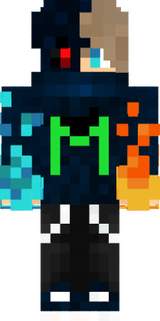 bisj