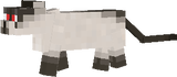 CATMONAS