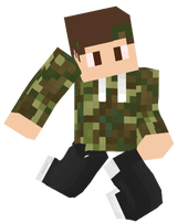 jnk_steini