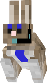 ds
