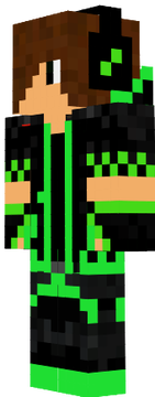 skin