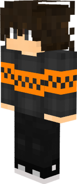 SrFleex