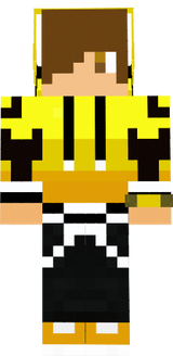Ender Yellow Boy