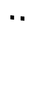 skelleton