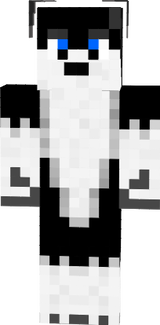 chein toutou