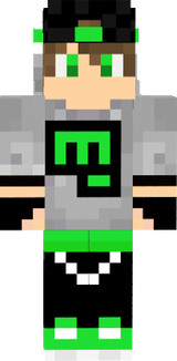skin