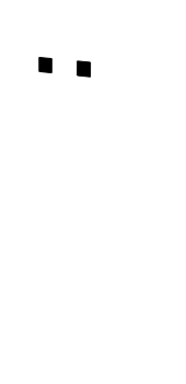 Preview of texture: skelleton