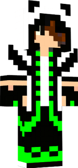 skin de panda