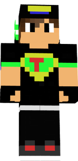 skin