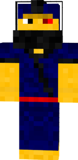 goosesurfer again