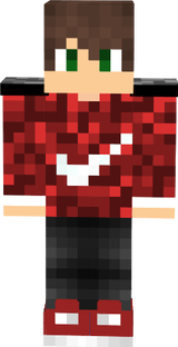 Done MC skin
