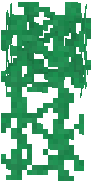 vines