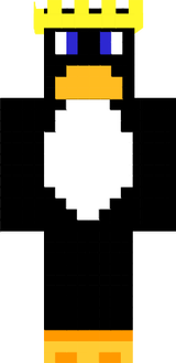skin5