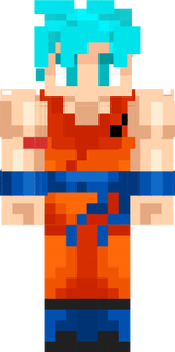hols doy goku