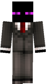 Ender By Costom