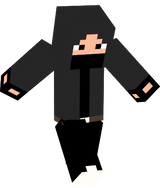 ninja craft 