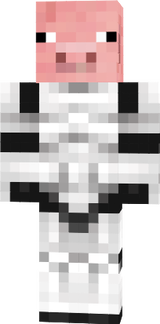 dr.pigglestorm