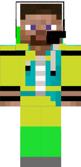 mitt skin
